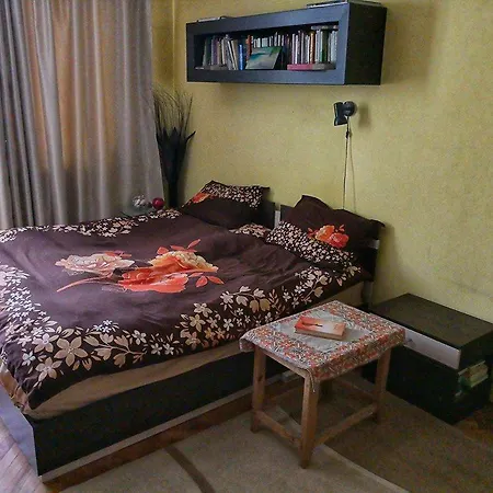 Apartment Irinis
